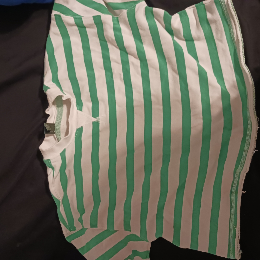 Wild Fable Green and White Striped Crop Top